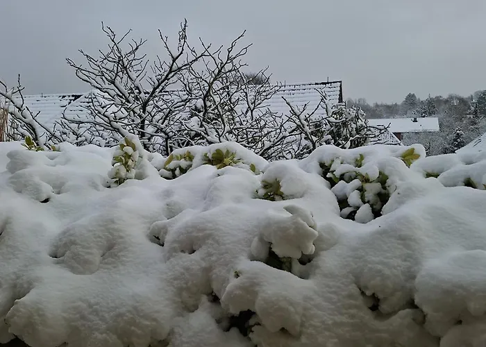 Ueber Den Daechern Von منزل للإقامة *